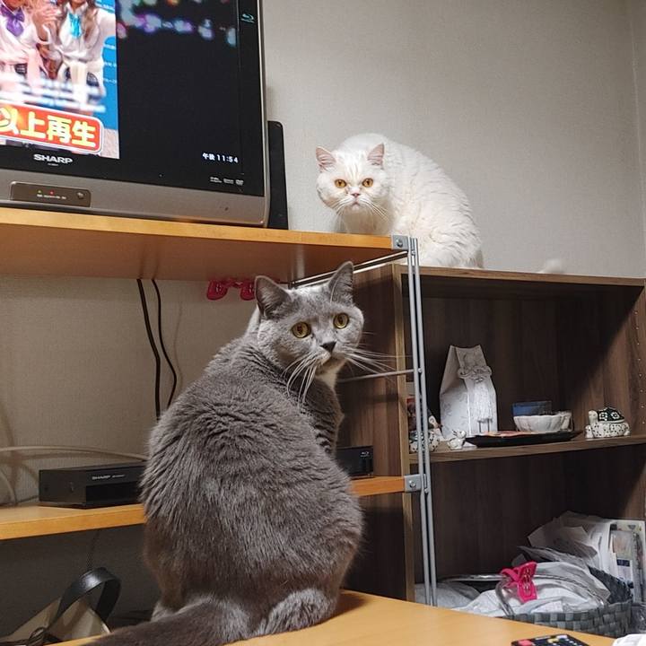 3f8c6a75 83e2 4e8e 81e6 2e99b3e12220 1713193070383