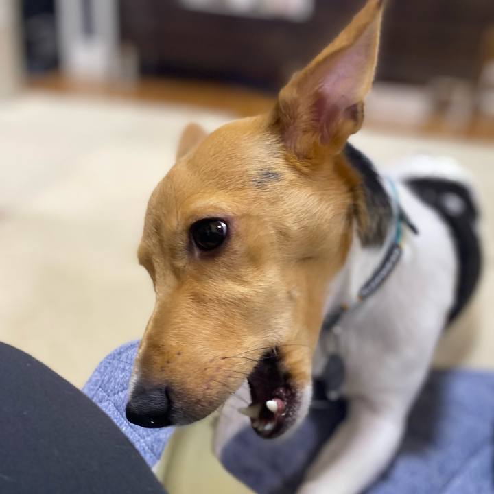 3f8c8c72 7f84 47e3 aa8a d02ab7c4324c 1758456732532