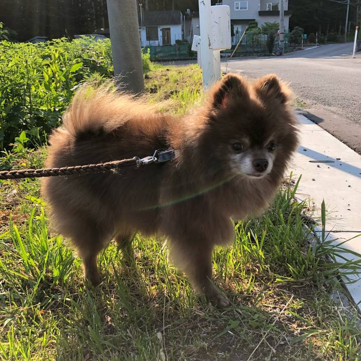 3f8c9e1b 62ed 4699 a8b5 22c702454c81 1623203869092