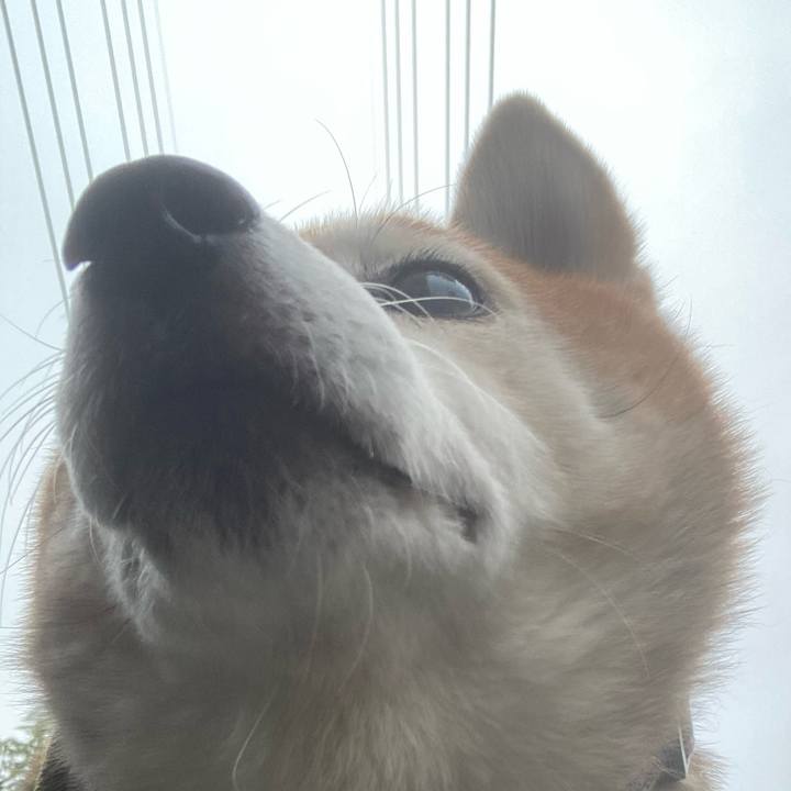 3f8caa1e a77a 404a 8e05 8983485b2ed8 1699775126320