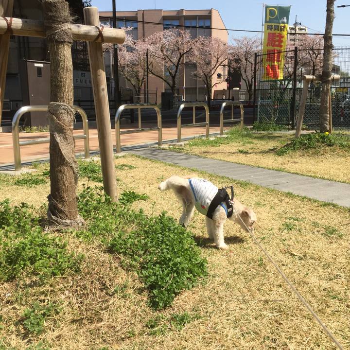 3f8cb27a 40f8 4f61 89db 982d8d36726a 1522480248738