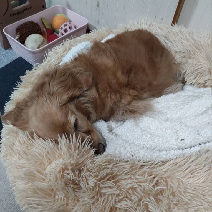 3f8cc40e e6ee 4e29 ace9 1f27e8692b02 1682084789435