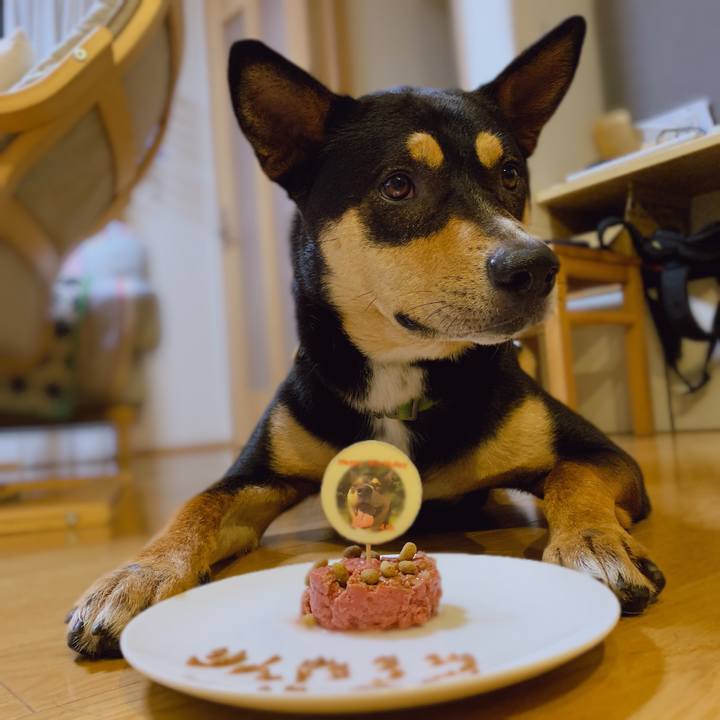 3f8d0eee a836 437c a025 7ed68080c79a 1562934678730