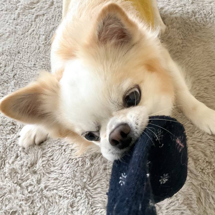 3f8d13d3 e933 4f36 9812 5c5aff980298 1774677283443