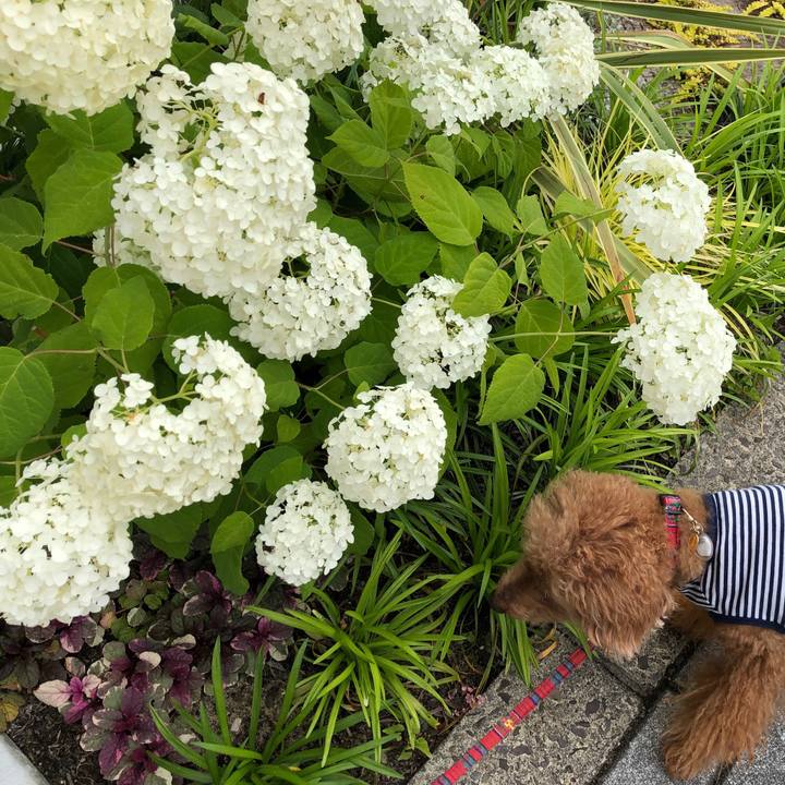 3f8d23c2 778d 4d81 b71c 7f08085a5e9e 1562725499866