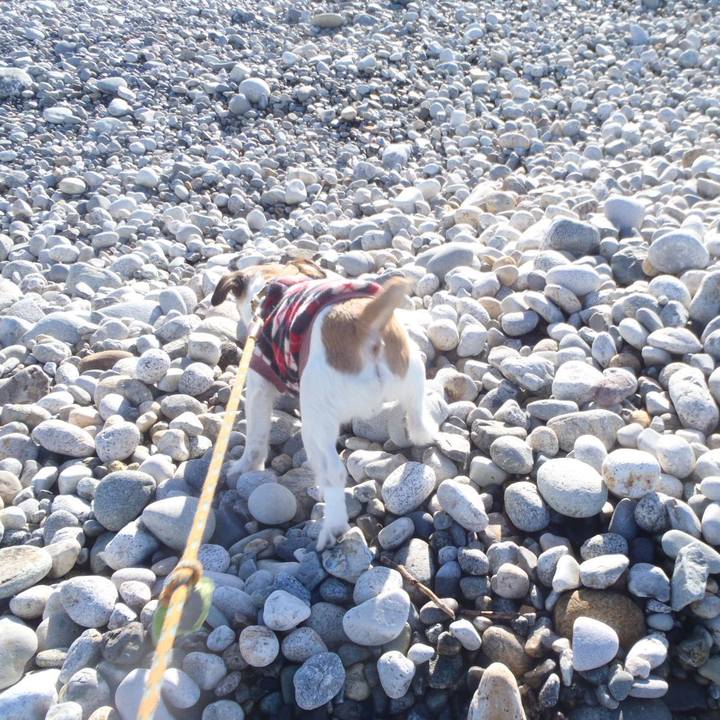 3f8d2807 c039 40cc 819e f9f0d1b93182 1512213125330