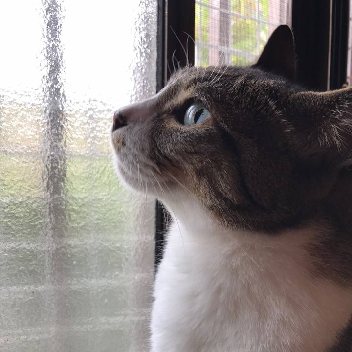 3f8d629f b5e1 4027 836a cfaf87fb6341 1531530488258