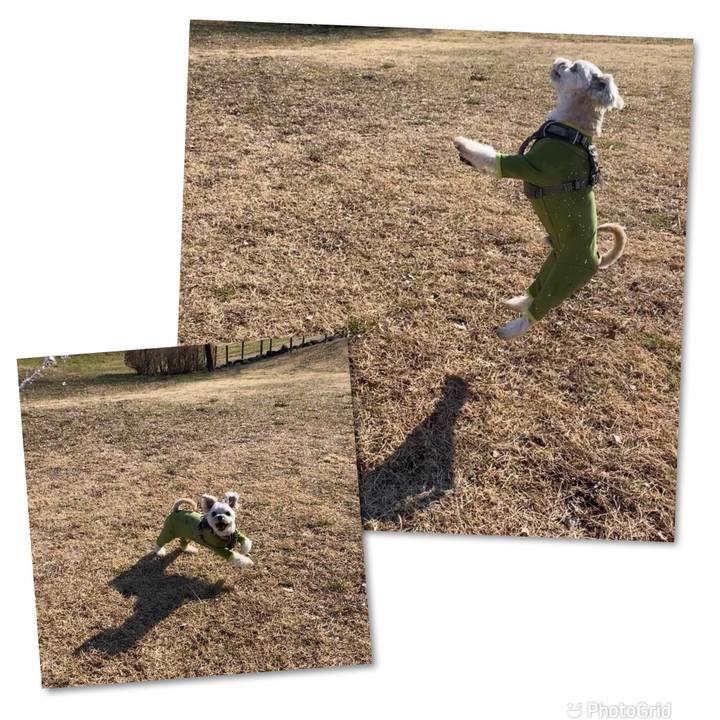 3f8d6adc 06f2 4c61 947b abb9ac7473a0 1644847673391