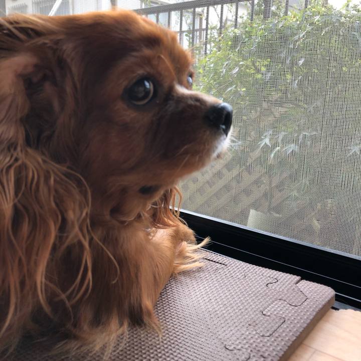 3f8dc214 3dea 4cd4 823b 564957760475 1631052679680