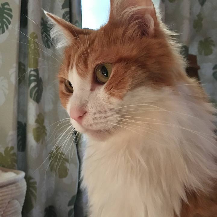 3f8dd68b 08df 41c2 96e7 3093038acfbc 1576367902298