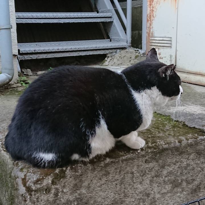 3f8e1335 9d6c 42e7 9004 c6943938a3e1 1548127319045