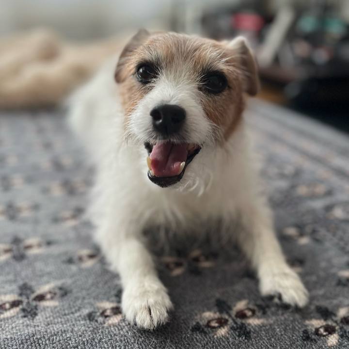 3f8e19c2 8706 44c6 9562 d7424580ec14 1762039073150