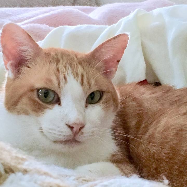 3f8e5bf1 5b00 4bd4 bda5 39dfead162fe 1568602643201