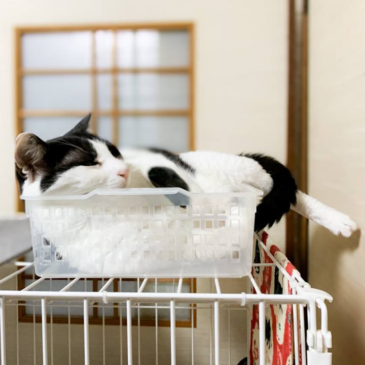 3f8e978e 6051 409f bdec 6e1b13230bbf 1601516140168