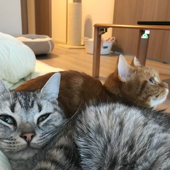 3f8eaf46 fff5 448e b33b 9d57bfc75ed7 1510526069451