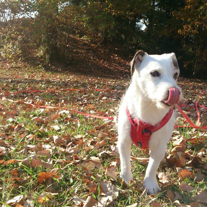 3f8eb581 aa51 47be 853b 3040e121d50c 1513378522380