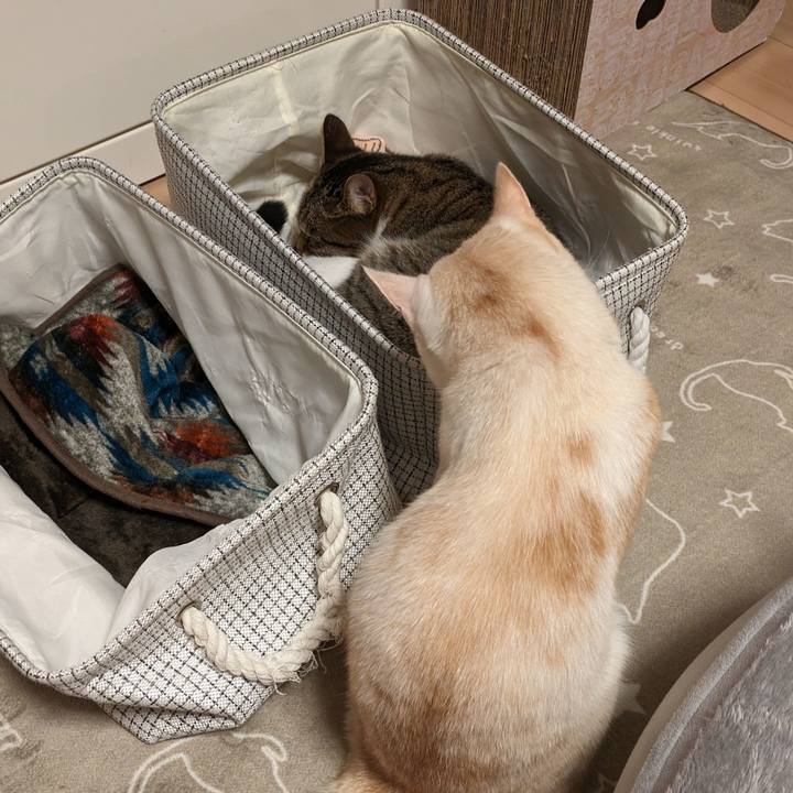 3f8ef178 9cc6 43df 888d cab27fb38c8f 1697461693205