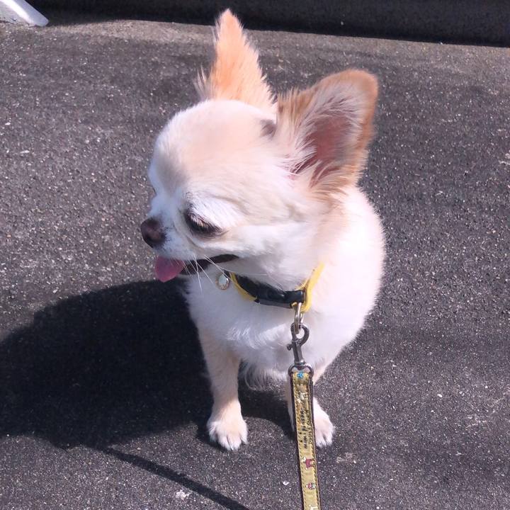 3f8f01bb 605c 4d88 b2bb b249e053ab40 1666532433715