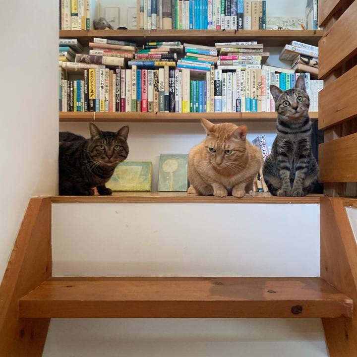 3f8f1c23 1922 4429 921c 43a8e436ccc5 1667088738879