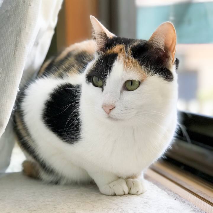 3f8f346c 1a19 4224 a777 a3e47ee1d0ab 1523026065403