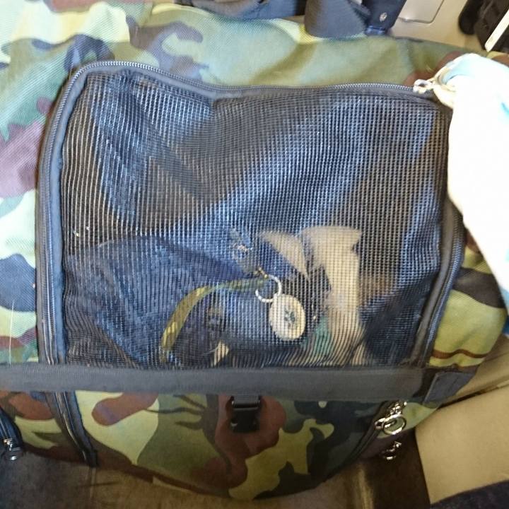 3f8f43f0 76e7 4e10 b865 1e2593a375f2 1511587050700