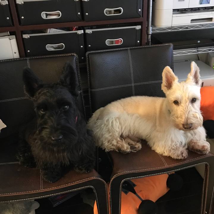 3f8f4bb6 29b6 42d1 9609 d7c73f713a65 1535643748074