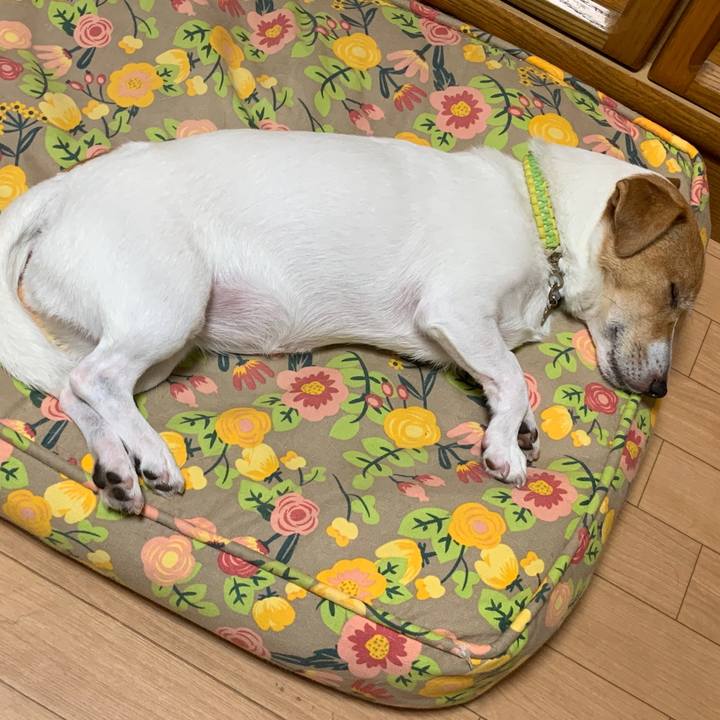 3f8f4c80 c72d 4c14 b821 775784dffb10 1599302281049