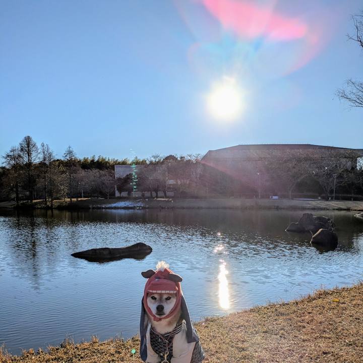 3f8f4ee3 4bca 433c 849d b19b5f9f7515 1767426876172