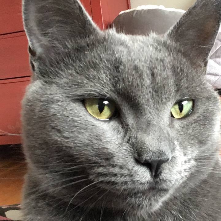 3f8f51ef 2b84 4462 b822 70dc6582ae36 1633047504161