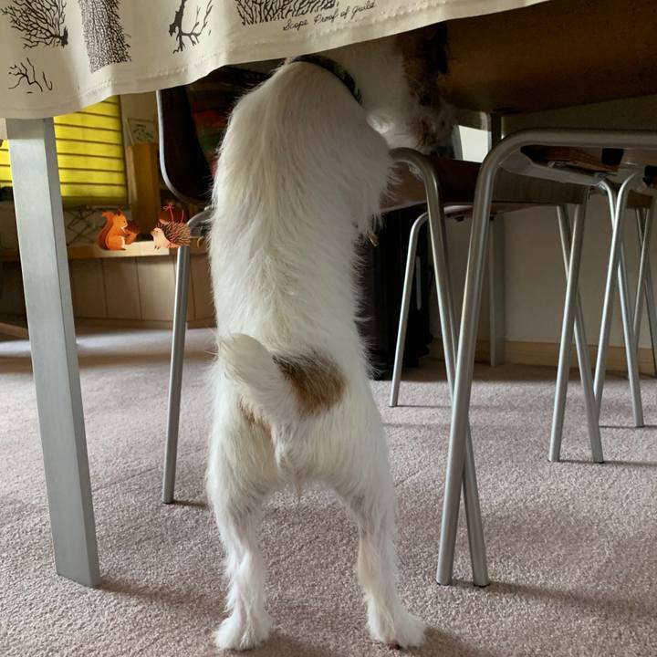 3f8f6a54 eb4f 4dc5 90ef 059f65b779d5 1568681192125