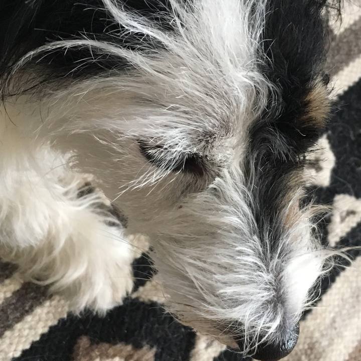 3f8f7719 d9b0 4fb6 8ca8 7731d4612af4 1520979832619