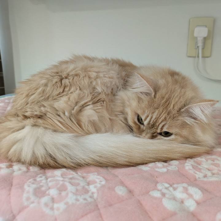 3f8facf2 95ce 4479 ac55 4ae9dc79aabc 1738470088514