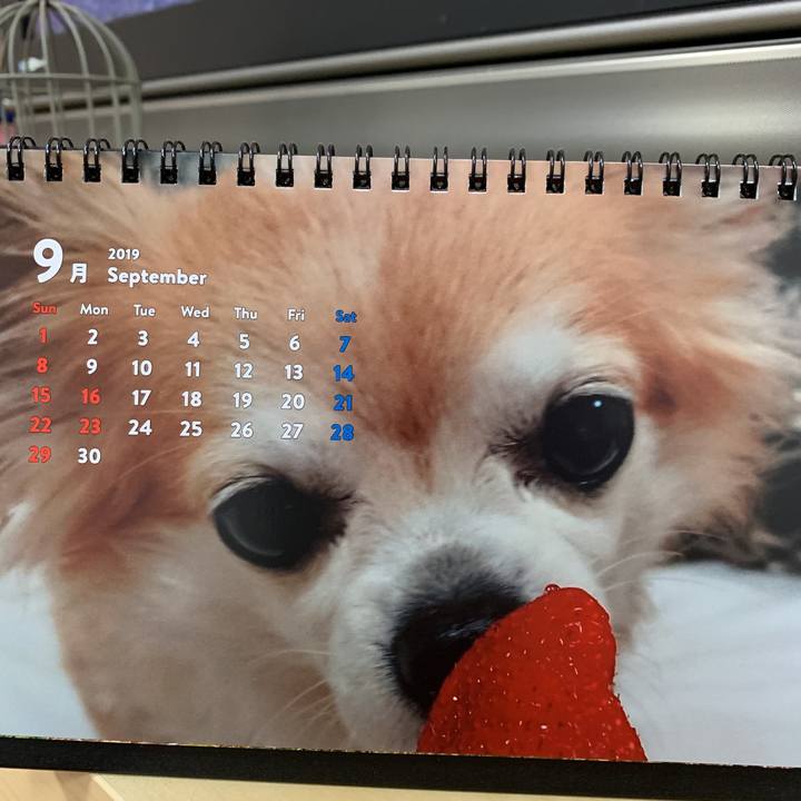 3f8fc9f9 c8d7 45fd 87e1 83e8aa92db25 1567335600374