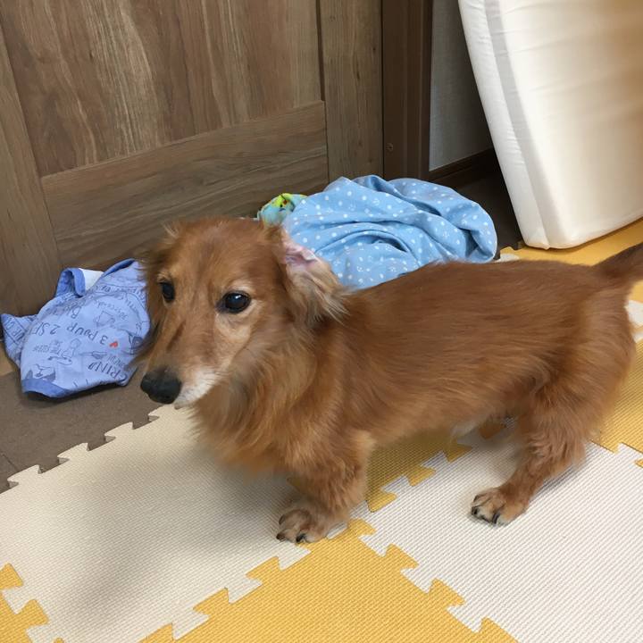 3f901863 8a58 435d 9efd ce53db5fcf32 1594810943748