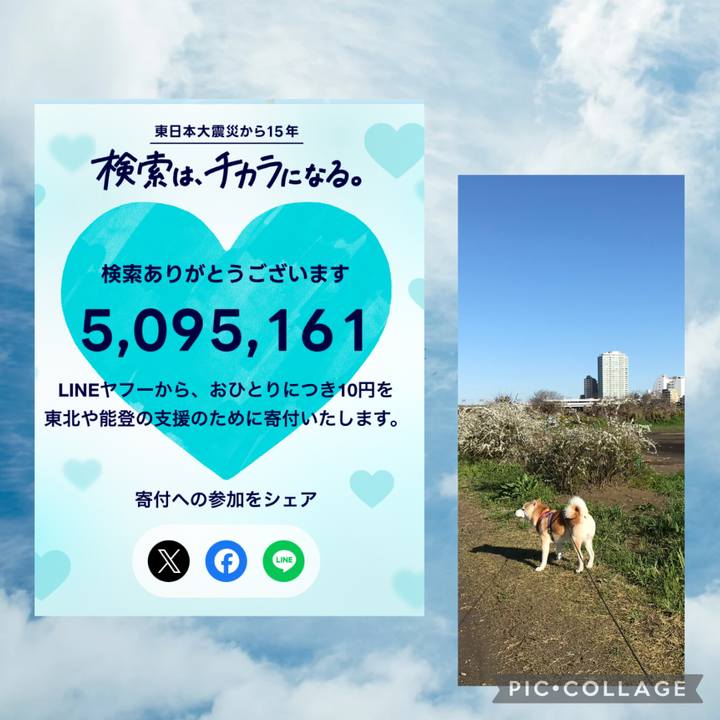 3f901cb6 50d5 420b 9b14 d3bb4381b351 1773216882344