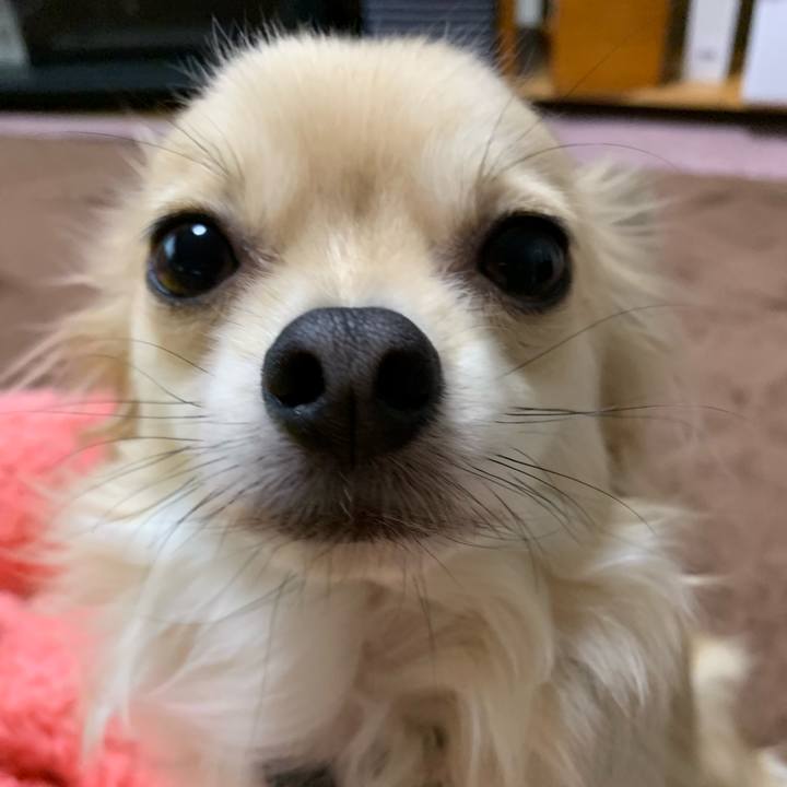 3f907f7a 3333 4639 9b12 0bf832f62257 1549450966190