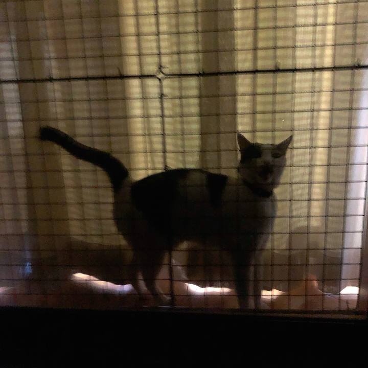 3f9103b6 fa25 44c5 8d0b dbc13ea4a35c 1666438163019