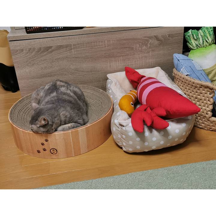 3f91248f 93d9 4cd7 a95d 15b80582505f 1669866921210