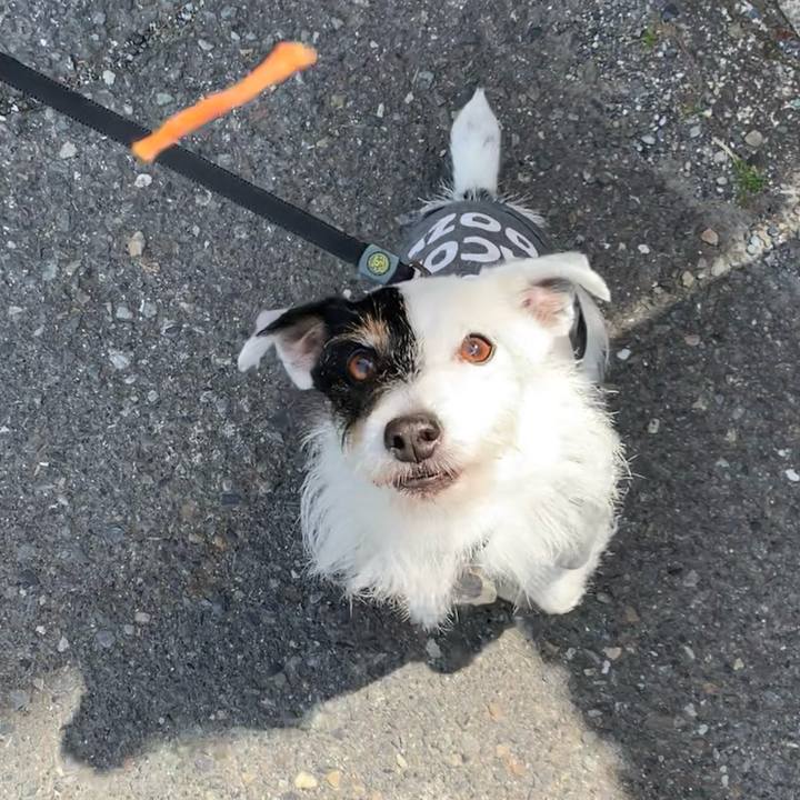 3f912f50 62b2 4b1c aadd c49f0fa77995 1714094509700