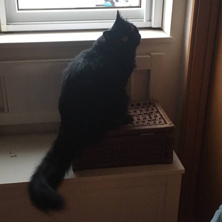 3f915bbd b7f0 477f 887e a92c023c2b31 1531637080304