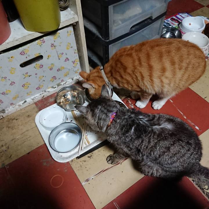 3f915c81 ae90 4eb4 be76 e7d3de81f9c3 1594842842925