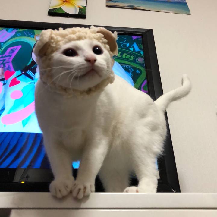 3f917c3f 5469 4d68 a213 1adca4b6fade 1516618259152