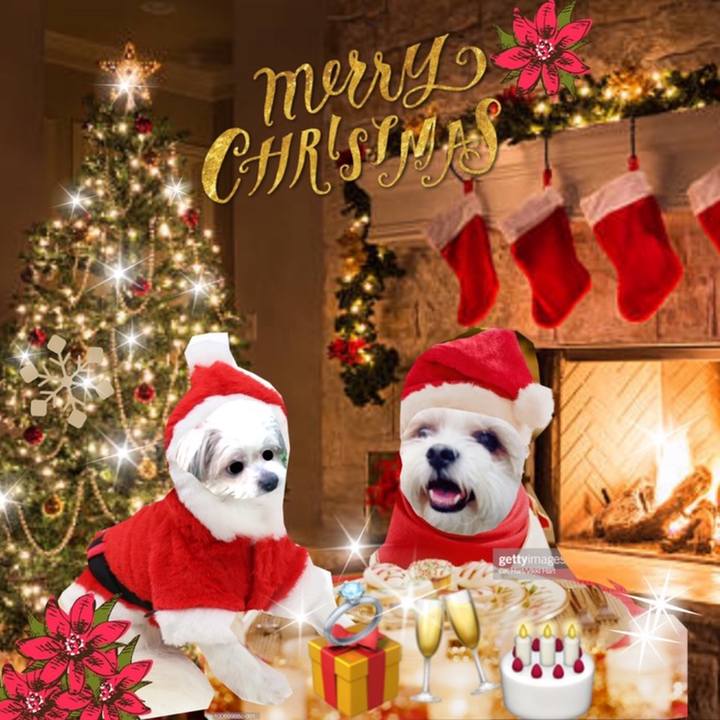 3f91a9c3 9ef8 4522 96a7 b4e6503d27ea 1577014516277