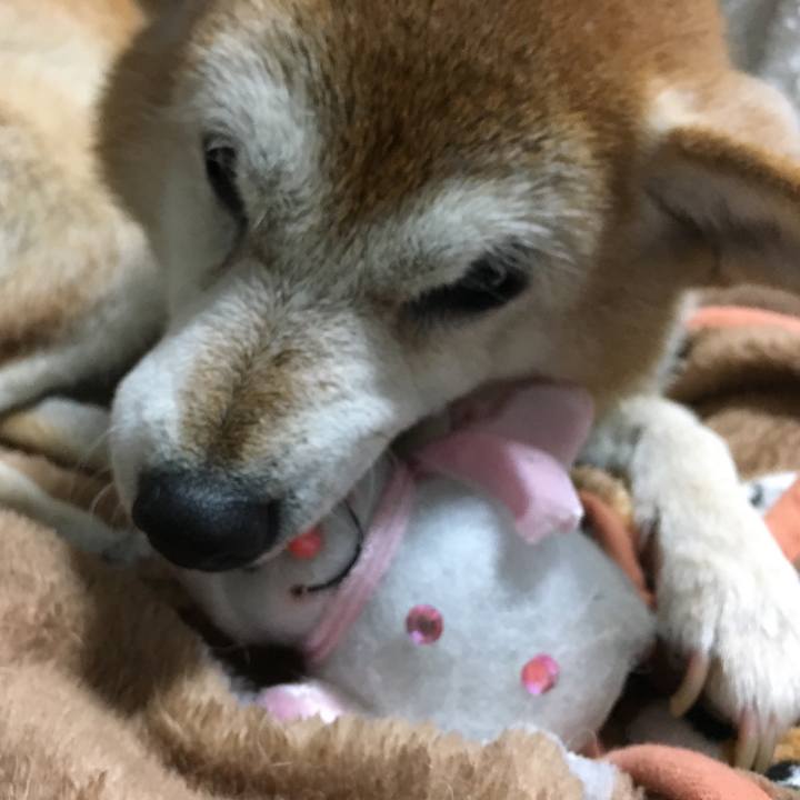 3f91cc44 9381 46ea bdea f3c304c23e0e 1514200259448