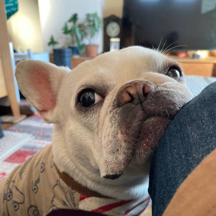 3f91d418 ef71 4ce2 afce 8074f90fdc35 1742597947362