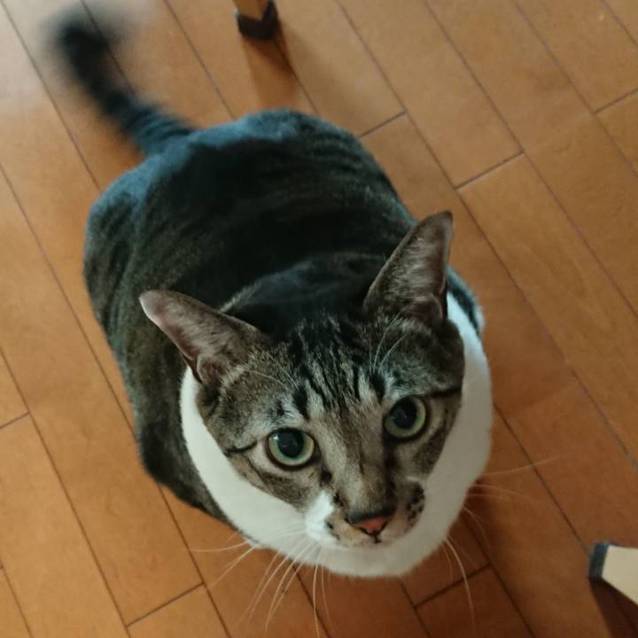 3f927c2f 85c3 4ab8 b79e eb0172879eaa 1540334055908