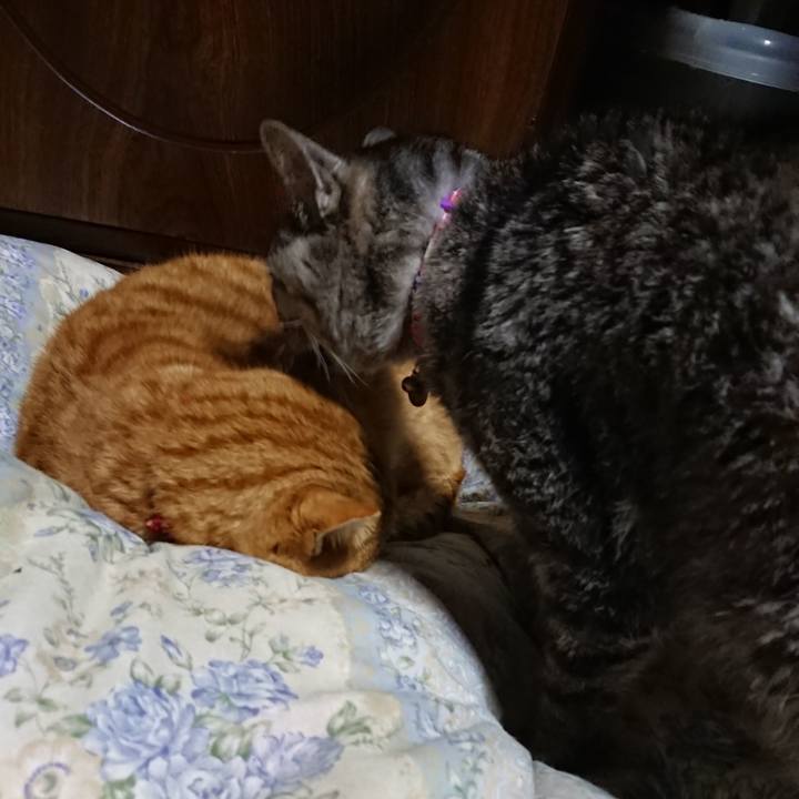 3f928520 631f 49df bb68 31486c78b286 1578657867957