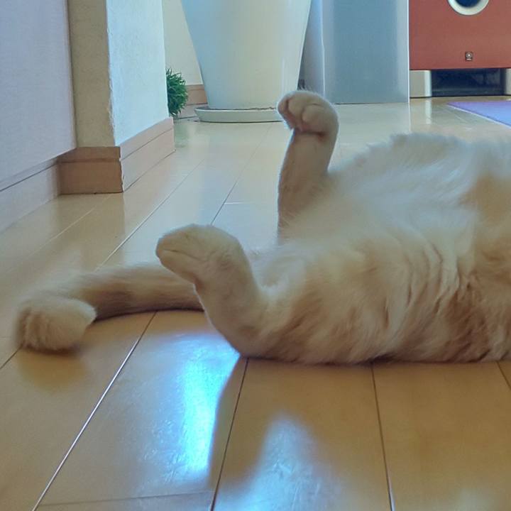 3f9285fb 8a74 4d74 b4c4 292736cc1917 1565319869176