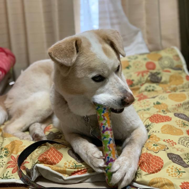 3f92af07 4857 4a54 91c6 9530e9cb9837 1651411858903