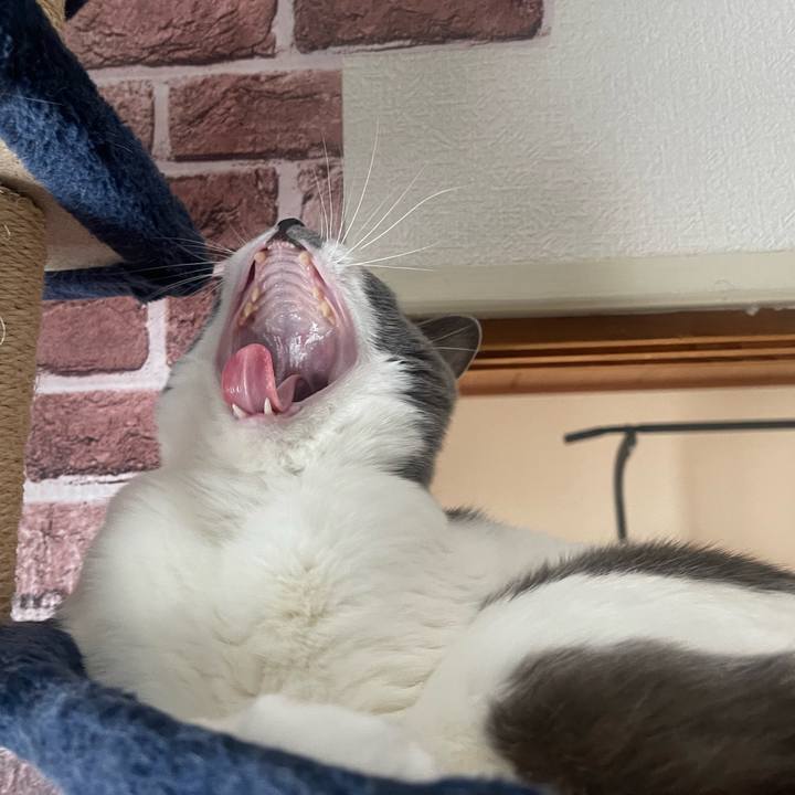 3f92d206 63af 499b bbf8 e5a789c1ed76 1670457359496